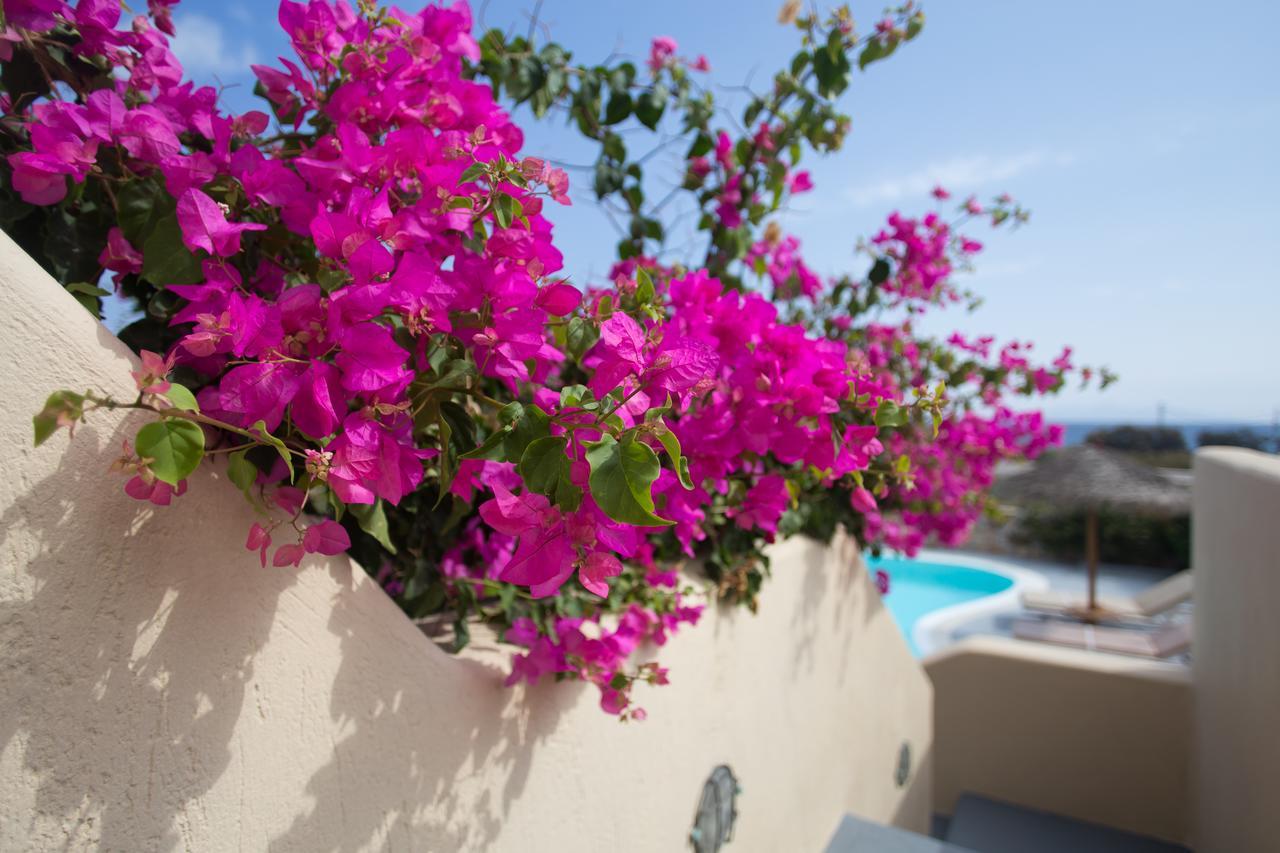 Theros Houses Santorini Kamari  Exterior photo